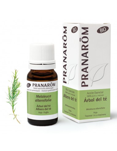 Pranarom - Árbol del té - 10 ml