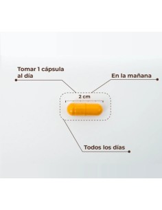 Kobho - Cúrcuma + Pimienta Negra 60 cápsulas 2