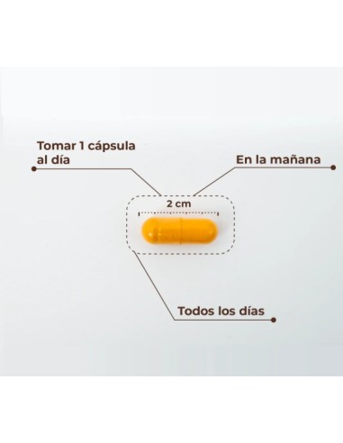 Kobho - Cúrcuma + Pimienta Negra 60 cápsulas