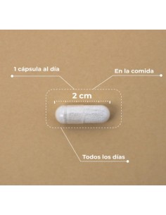 Kobho - Hair & Nail Booster 60 cápsulas 2