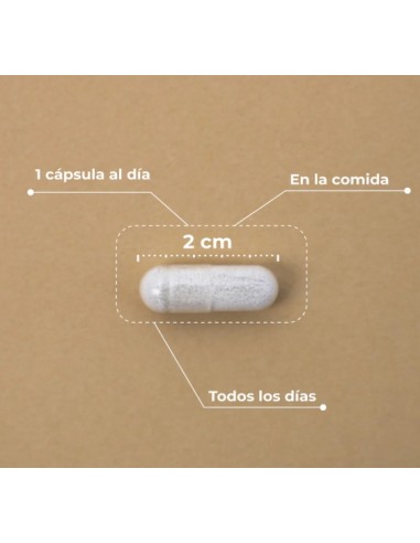 Kobho - Hair & Nail Booster 60 cápsulas