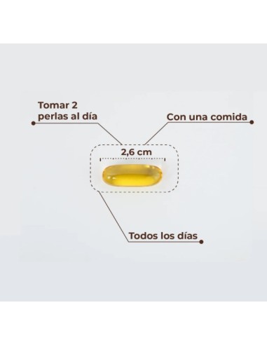 Kobho - Omega 3 - 60 perlas