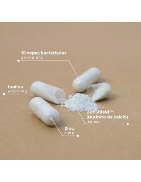 Kobho - Pre-Post Probiótico 60 cápsulas