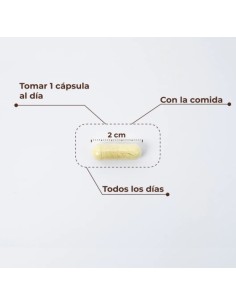 Kobho - Trans Resveratrol + Quercetin 60 cápsulas 2
