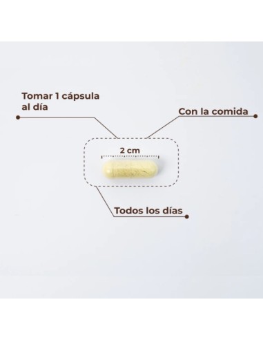 Kobho - Trans Resveratrol + Quercetin 60 cápsulas