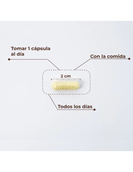 Kobho - Trans Resveratrol + Quercetin 60 cápsulas