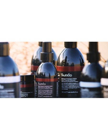 Sendo - Pack Navidad Rutina Color